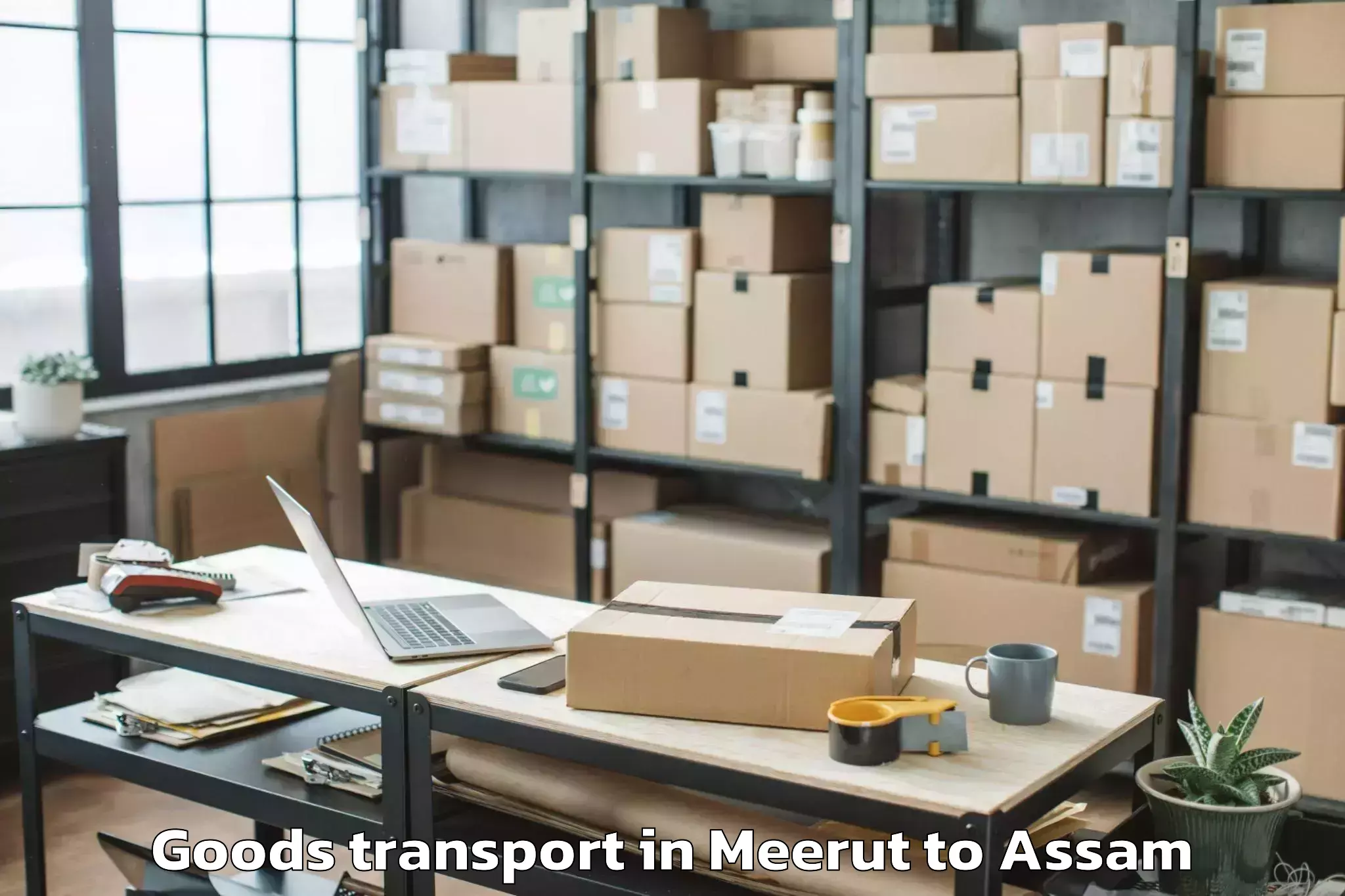 Quality Meerut to Tengakhat Goods Transport